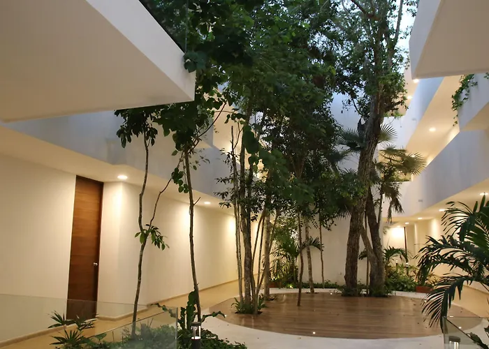 Anah Tulum 2*